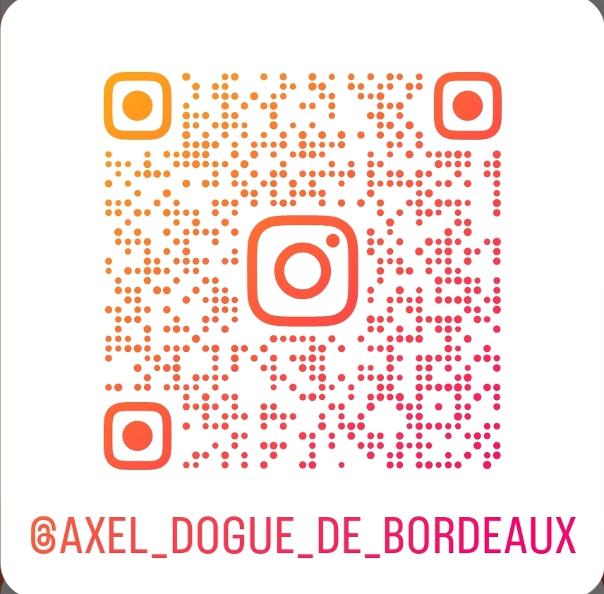 IG QR